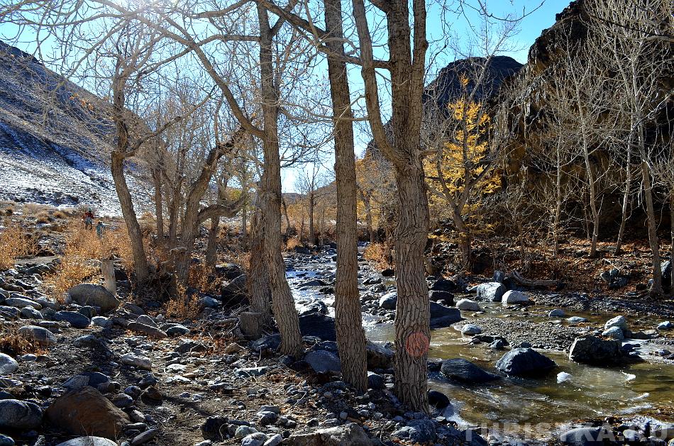 Река Кызыл-Чин в ущелье