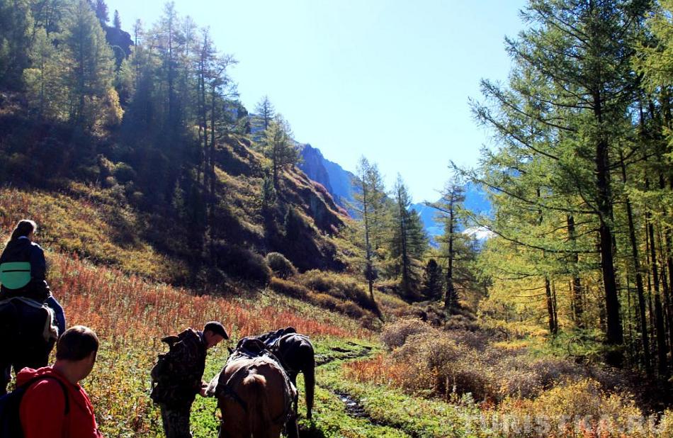 Упали с коня : Горный Алтай