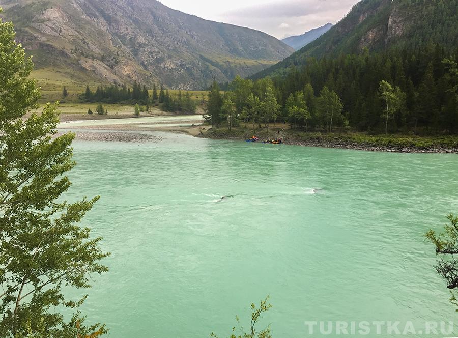 Бирюзовая Катунь в месте слияния с Аргутом