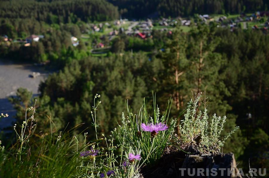 На горе Менжелик