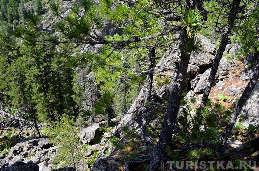 Ущелье Муехтинского водопада