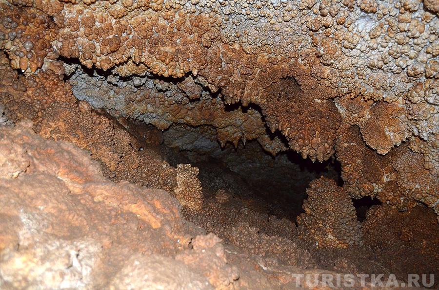 Кораллиты на потолке и стеных пещеры
