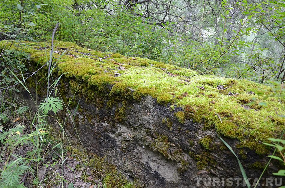 Замшелые бетонные плиты