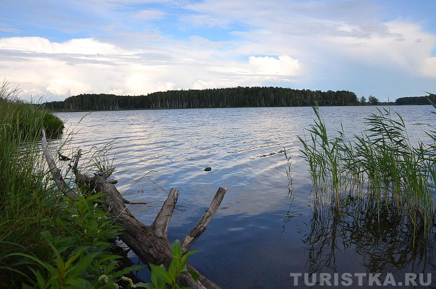 Озеро Алтайский Край Фото