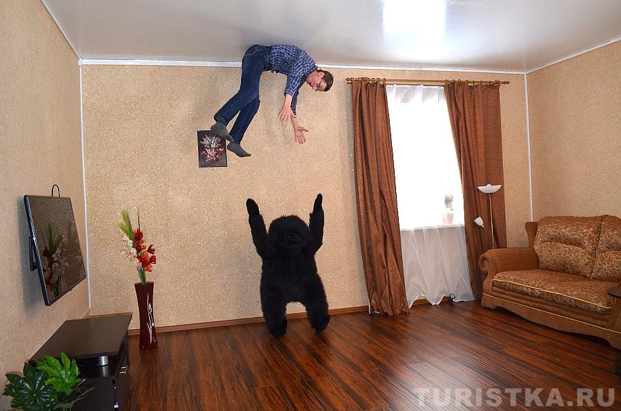 Чудище подбросило ))