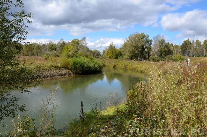 Река Лосиха на Алтае