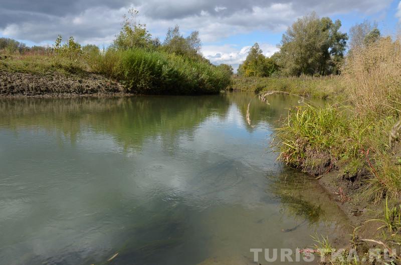 Река Лосиха на Алтае