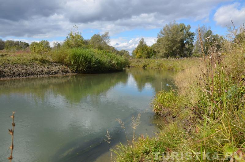 Река Лосиха на Алтае