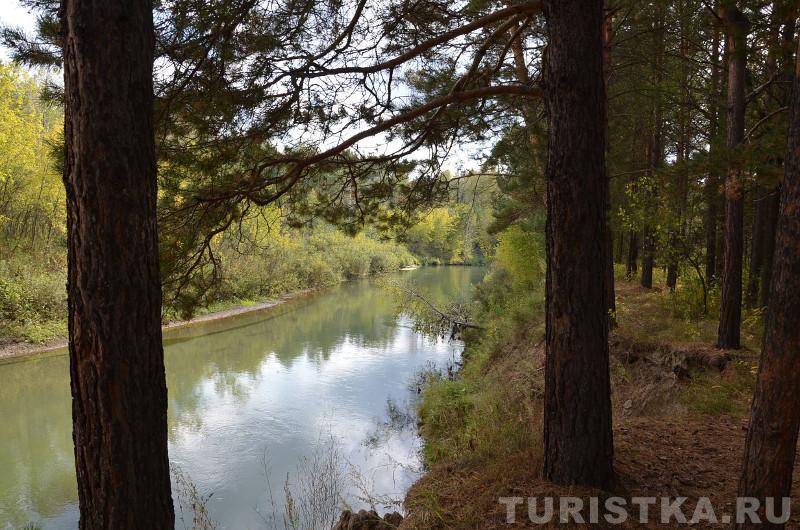 Река Лосиха на Алтае