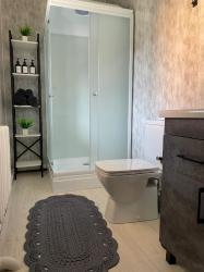 Горный Алтай : Базы на Телецком озере : Гостевой дом Лилия : Санузел в коттедже на две комнаты