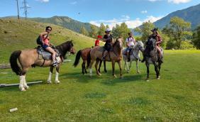 Горный Алтай : Активные туры от фирмы «АлтайГеоТур» : Лошадки