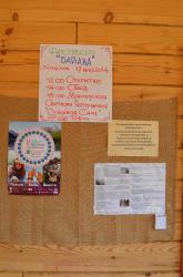 Горный Алтай : Первый летний фестиваль Байана 2014 : Расписание фестиваля