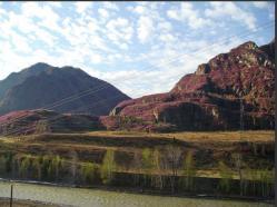 Фестиваль Цветение маральника в Белокурихе