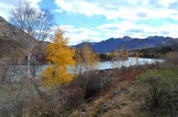 Горный Алтай : Золотая осень на Алтае : Катунь около Ильгуменского порога