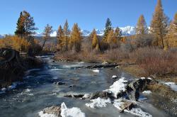 Горный Алтай : Золотая осень на Алтае : Одна из рек, стекающих с Северо-Чуйского хребта
