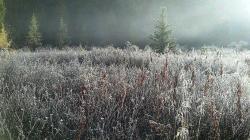 Иней : Усть-Коксинский район