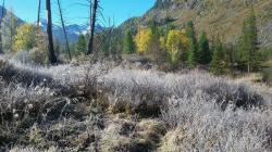 Яркое утро : Усть-Коксинчкий район