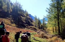 Упали с коня : Горный Алтай