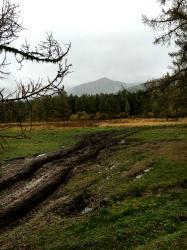 Дорога через маральник : Горный Алтай