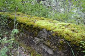 Отдых на Алтае : Старая дорога на перевал Чике-Таман : Замшелые бетонные плиты