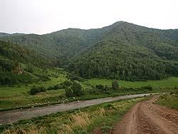 Горный Алтай : Фестиваль Песчаная-2011 : Дорога от Солоновки до фестивальной поляны