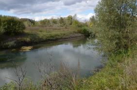 Река Лосиха на Алтае