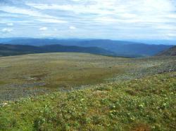 Горный Алтай : Шебалинский район : Туюкские озера : Поход к Туюкским озерам
