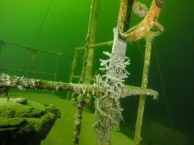 Горный Алтай : Телецкое озеро : Теплоход «Ирбис» 