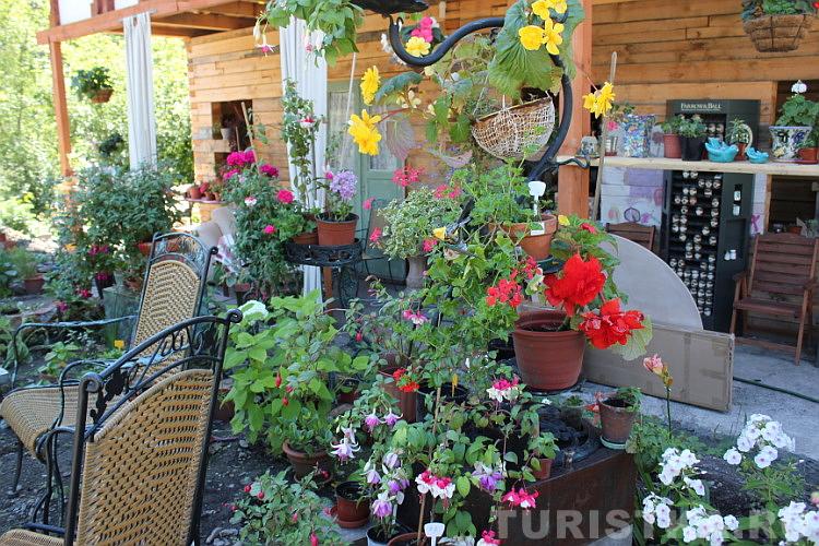 Эко-парк в гостевом доме «Сад Пионов»