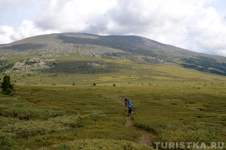 Тропинка по долине среди карликовой березки