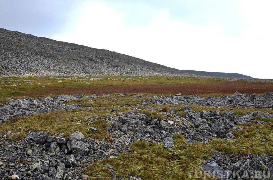 Полочка с красной травой при подъеме