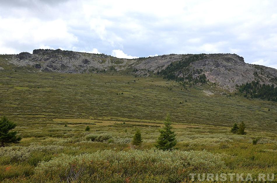 Темно-зеленые пятна в долине - заросли карликовой березки