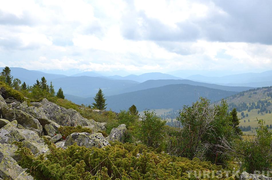 Можжевельник между камнями и одиночные кедры на склоне г. Сарлык