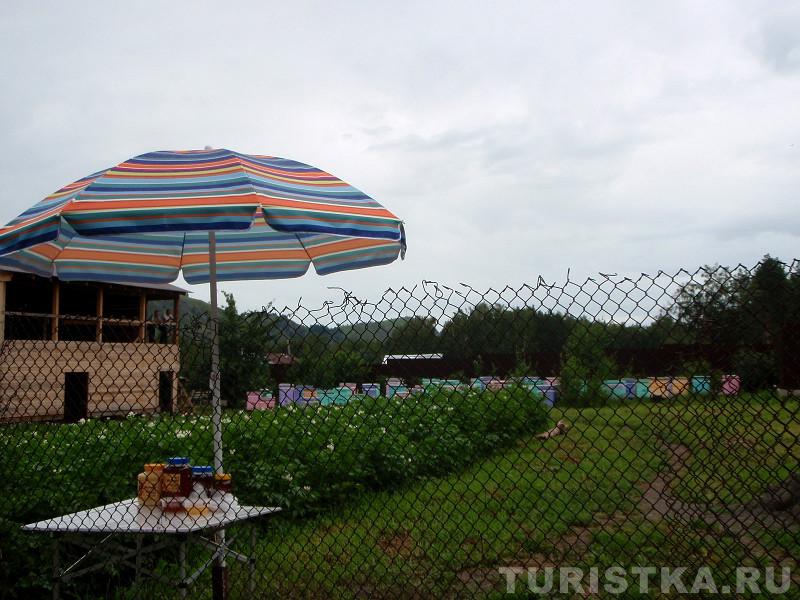 Пасека в селе
