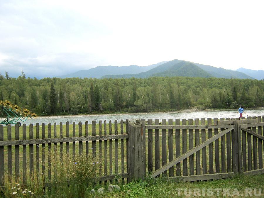 Вид на Катунь со двора одного из домов в Тюнгуре