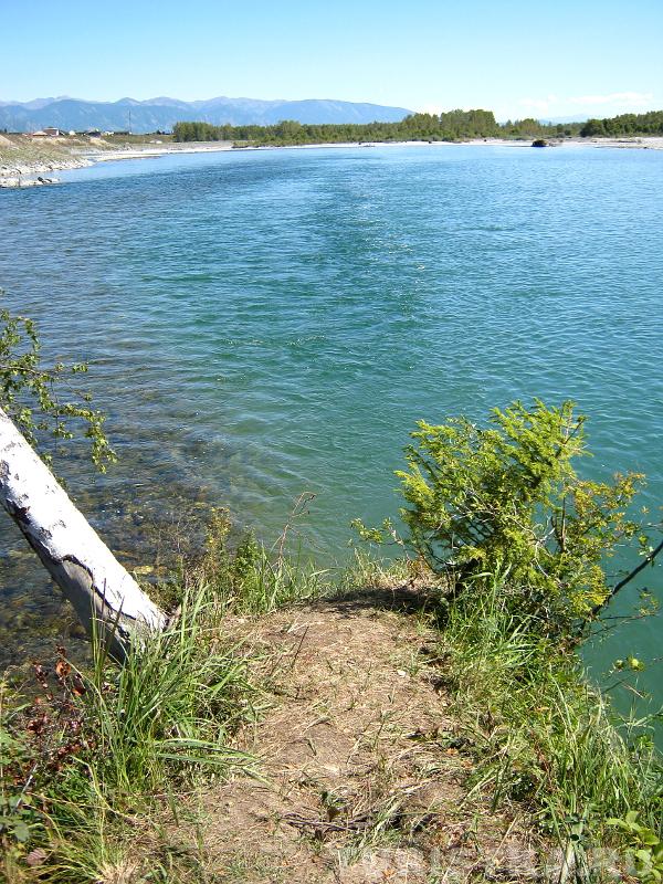 Мыс на слиянии Катуни и Коксы