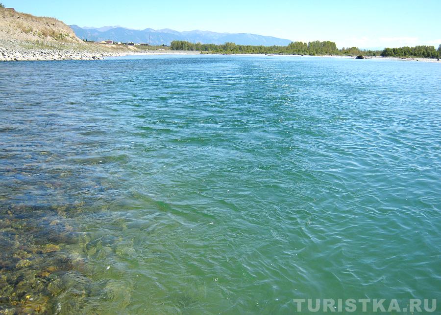 Слияние Катуни и Коксы