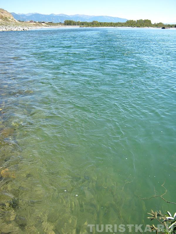 Слияние Катуни и Коксы