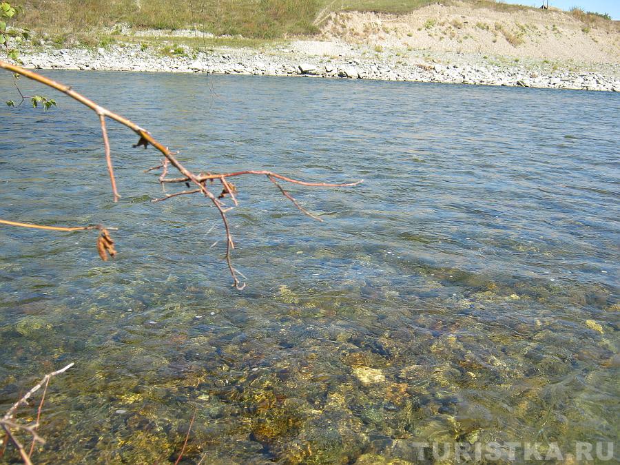 Река Кокса перед слиянием с Катунью