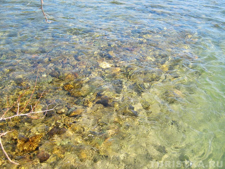 Мелкая, с камушками - Кокса, а справа воды Катуни, видно, что русло глубокое
