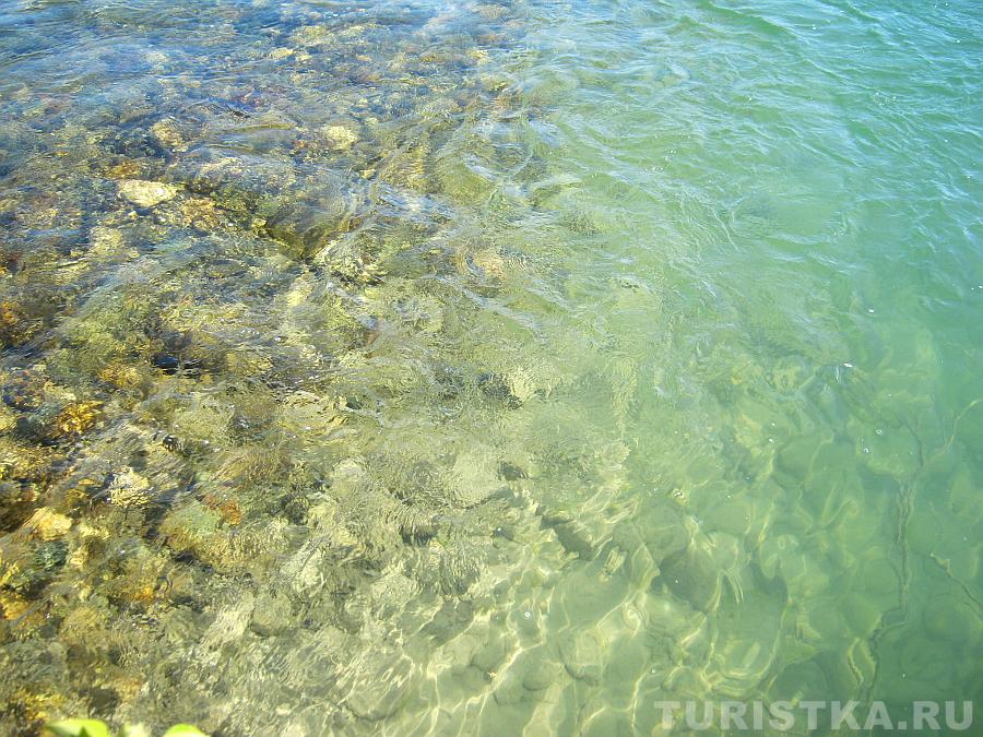 Мелкая, с камушками - Кокса, а справа воды Катуни, видно, что русло глубокое