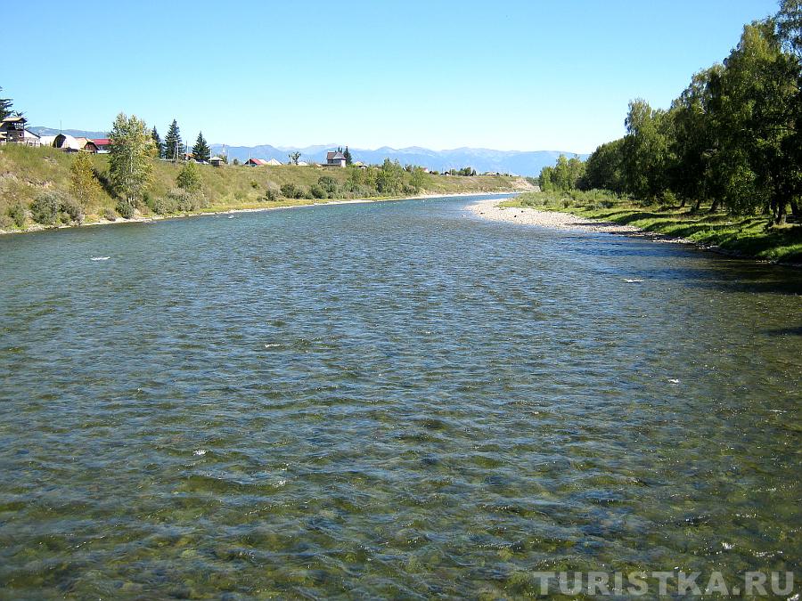 Река Кокса в районе пешеходного моста, перед слиянием с Катунью
