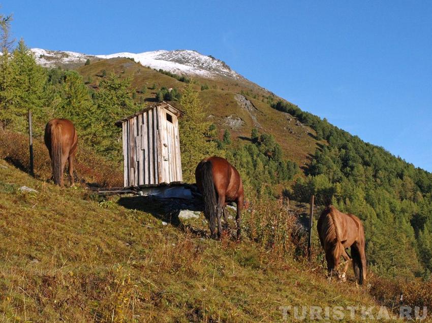 Джентельмены, кто последний в уборную?