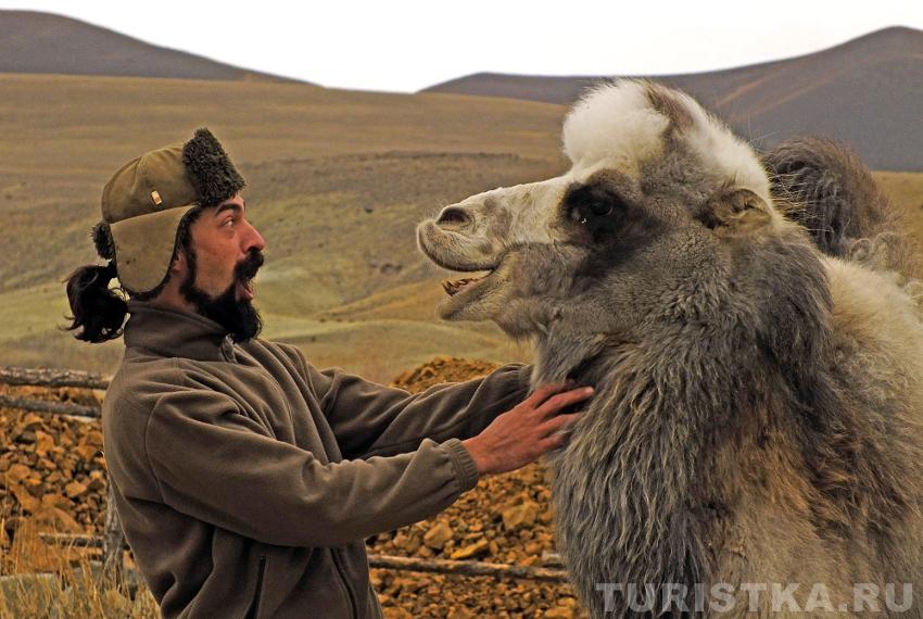 Привет, брат!