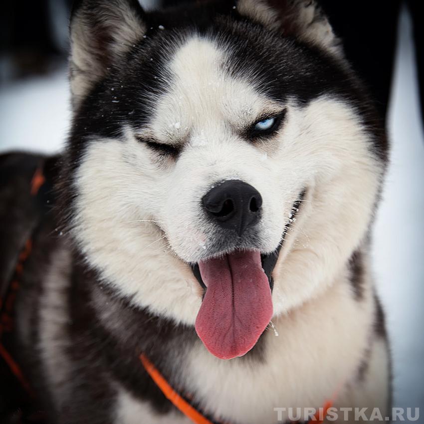 "Вы привлекательны, я чертовски привлекателен - чего зря время терять?!"