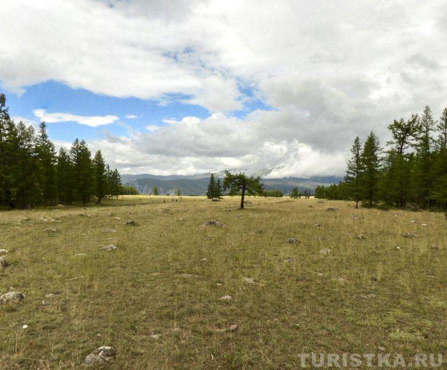 Степь Самаха