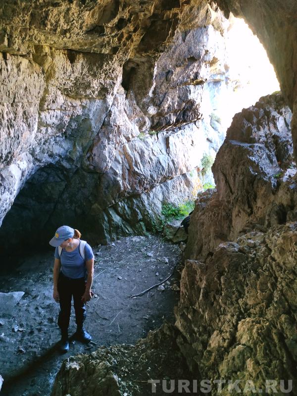 Мужик мамонта не притащил, а кушать хочется...