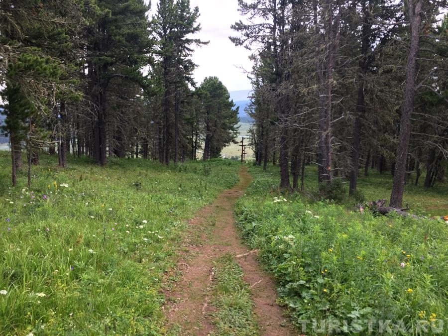 Тропинка на гору Тияхта