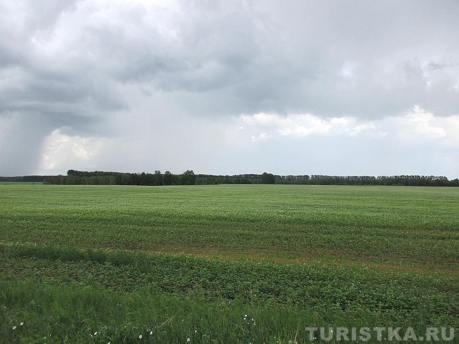 Поля в Троицком районе