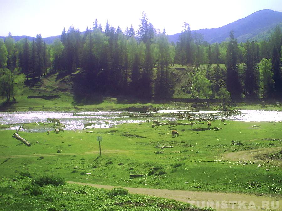 Вид на р. Кучерла